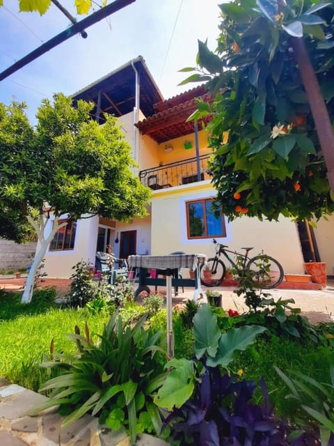 Property building, Spring, Day, Garden, Garden view