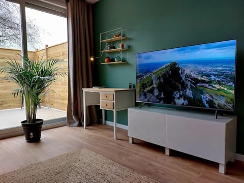 TV and multimedia
