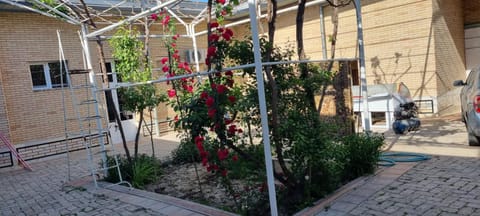 Property building, Spring, Day, Garden, Garden view