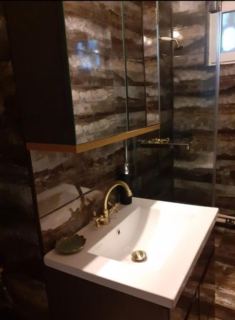 Silene Studio Apartment in Craiova