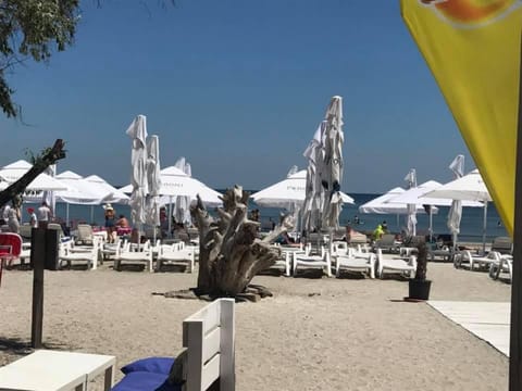 Day, Beach, sunbed