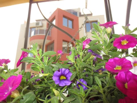 FANTASY APARTMENTS Apartment in Varna