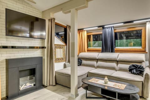 TV and multimedia, Living room, Seating area, fireplace
