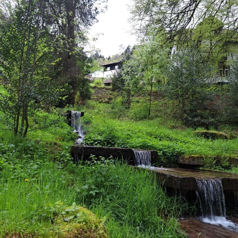 Natural landscape