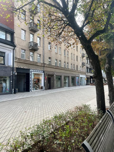 Arena apartment Apartment in Lithuania