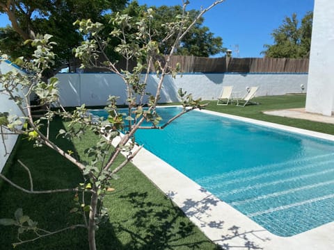 Garden, Swimming pool