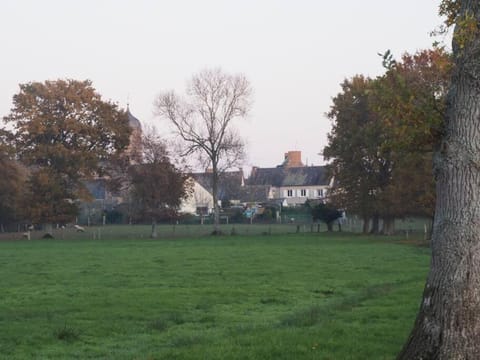 Natural landscape