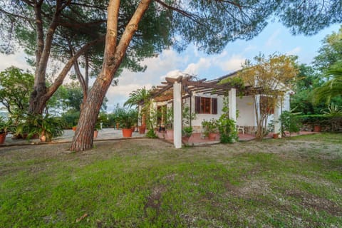 Property building, Natural landscape, Garden, Garden view
