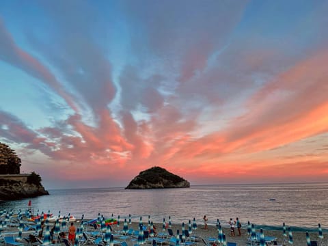 Nearby landmark, Natural landscape