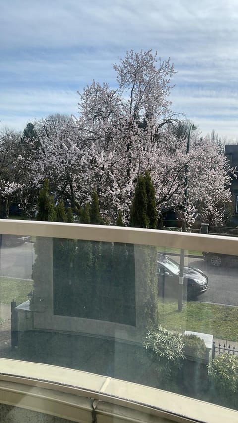 Property building, Spring, Natural landscape