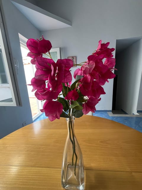 Villa Il Sorriso Capri centro Apartment in Capri