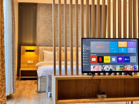 TV and multimedia