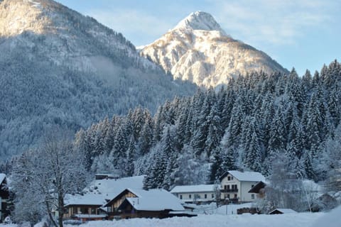 Winter, Mountain view