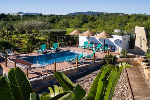 Natural landscape, Garden, Pool view, Swimming pool, sunbed