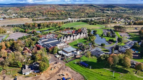 780 Combined Upper and Lower Disciples Village Condo House in Michigan