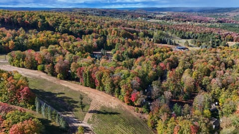 780 Combined Upper and Lower Disciples Village Condo House in Michigan