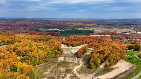 780 Combined Upper and Lower Disciples Village Condo House in Michigan