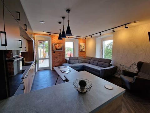 Kitchen or kitchenette, Living room, Seating area, Dining area, minibar, pet friendly