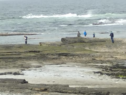 Natural landscape