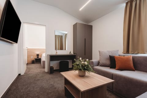 Communal lounge/ TV room, Bed, TV and multimedia, Living room, Photo of the whole room, Seating area, Bedroom, hair dresser