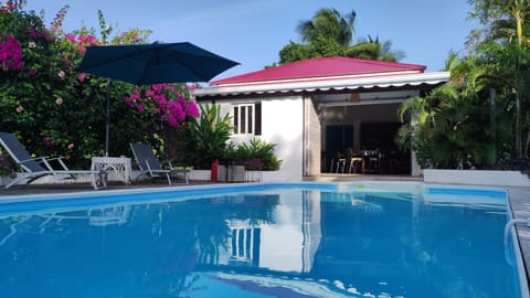 Garden, Garden view, Swimming pool