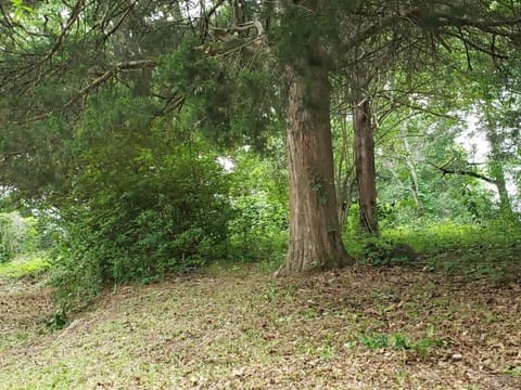 LixyLouis Andalusia minutes from the Downtown House in Alabama