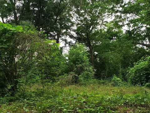 LixyLouis Andalusia minutes from the Downtown House in Alabama