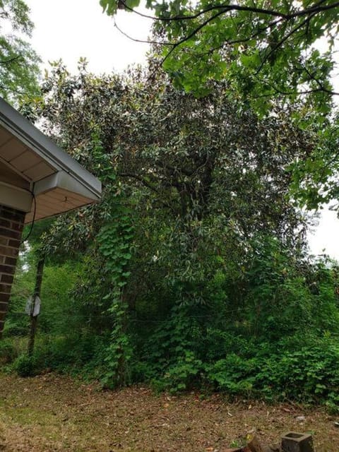 LixyLouis Andalusia minutes from the Downtown House in Alabama