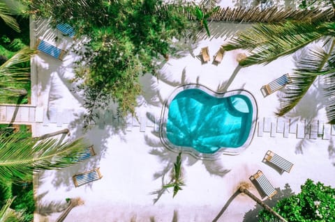 Day, Natural landscape, Pool view, Swimming pool