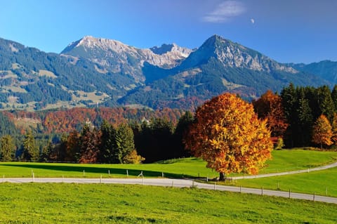 Natural landscape, View (from property/room), View (from property/room), Mountain view