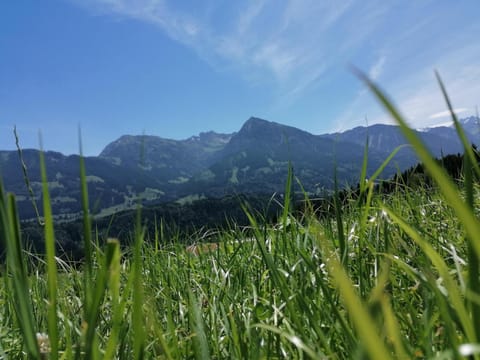 Natural landscape, View (from property/room), Mountain view