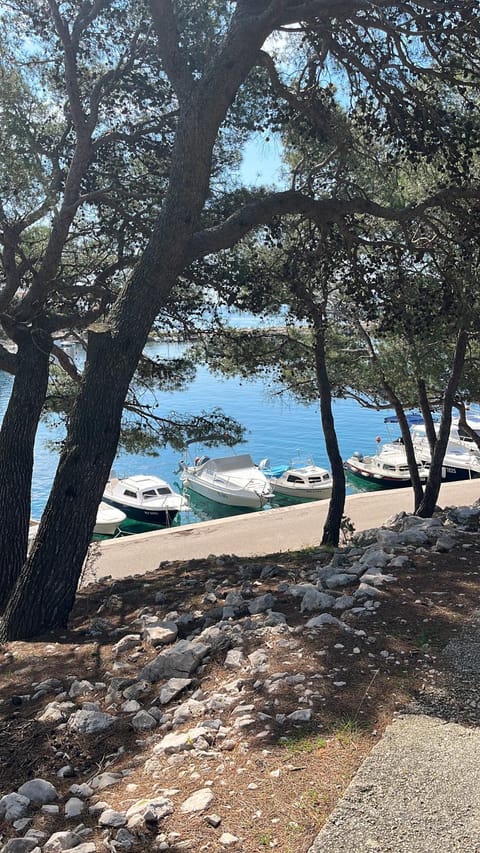 Sun Apartment in Novalja