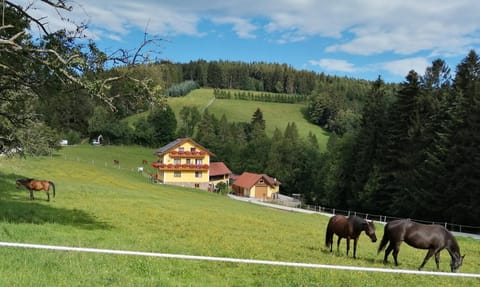 Property building, Natural landscape, Animals