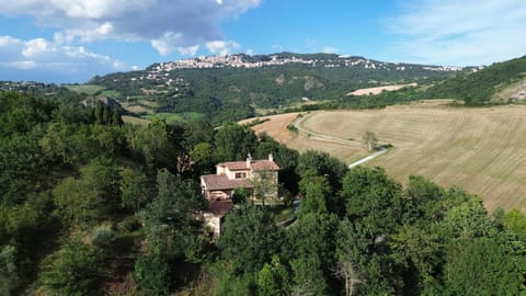 Nearby landmark, Spring, Day, Natural landscape, Bird's eye view, Mountain view
