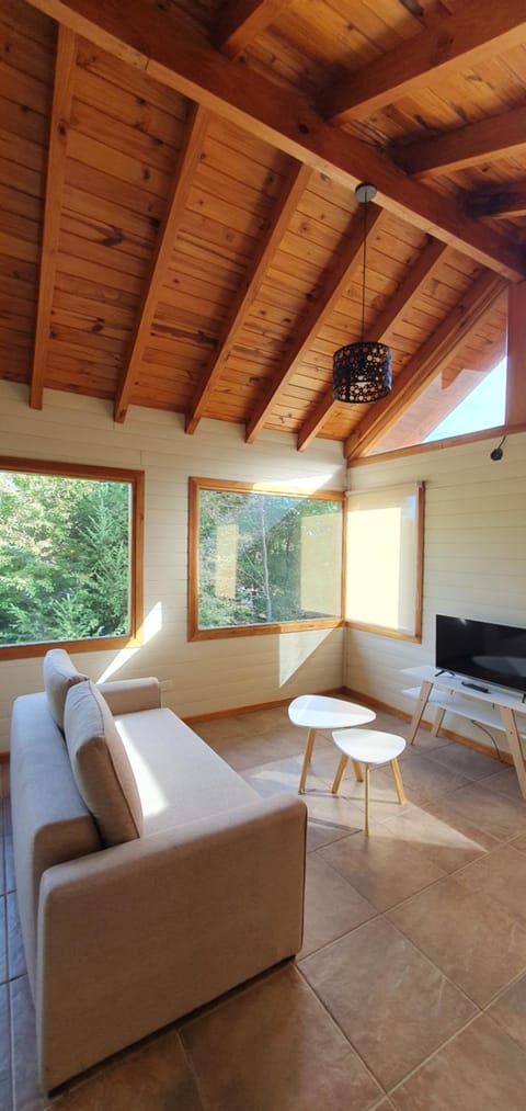 Communal lounge/ TV room, Living room, Seating area