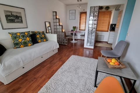 Cozy studio in Tampere for 2 with own Sauna,balcony and a free parking Apartment in Finland