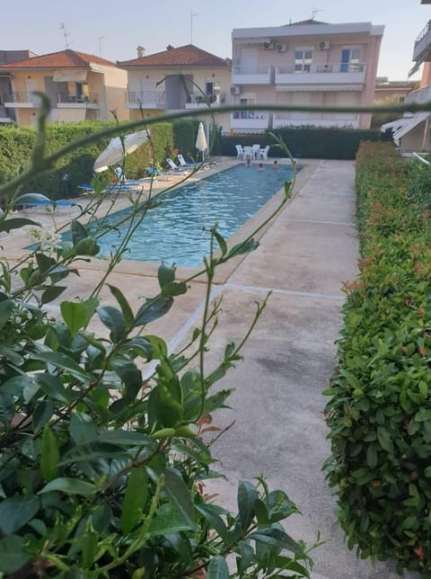 Day, Garden, Garden view, Pool view, Swimming pool, Swimming pool