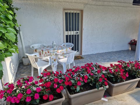 Patio, Garden