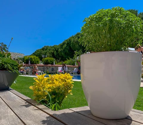 Salbakos Herakleia Boutique Hotel Hotel in Alaçatı