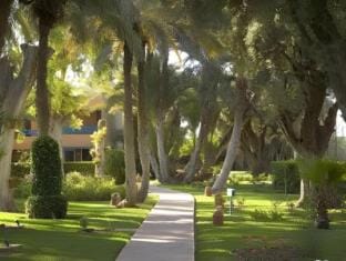Surrounding environment