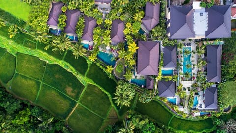 Dwaraka The Royal Villas Resort in Ubud