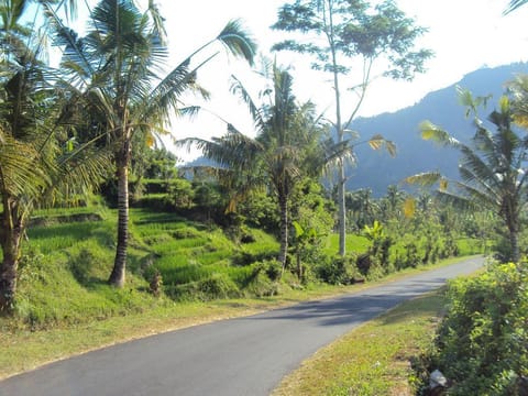 Villa Uma Ayu Sidemen Hotel in Sidemen