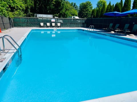 Swimming pool [outdoor]