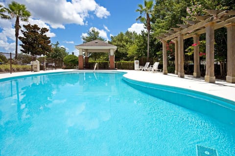 Swimming pool [outdoor]