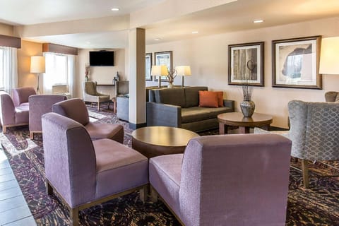 Comfort Inn & Suites Market - Airport Hotel in Great Falls