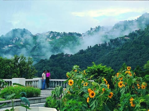 View