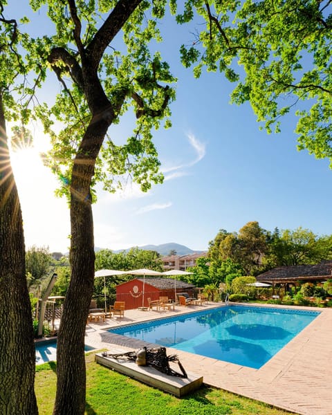 Swimming pool [outdoor]