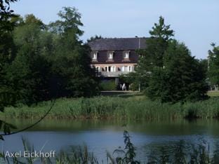 Surrounding environment