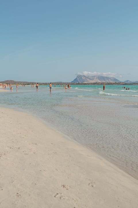 Hotel Le Rose Hotel in San Teodoro