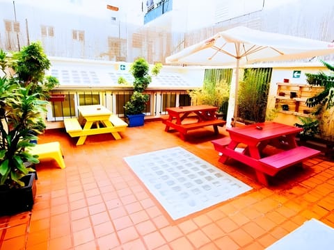 Purple Nest Hostel Hostel in Valencia